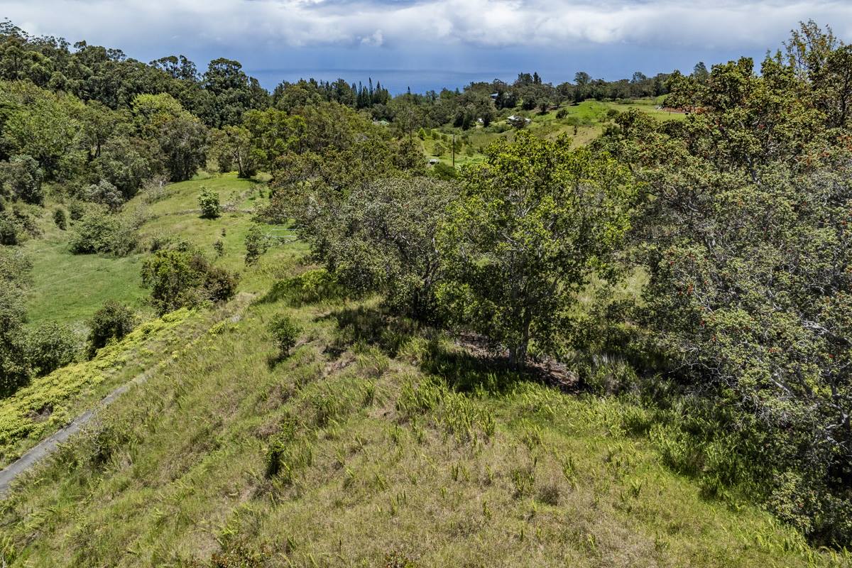 44-3791 Kukuipapa Rd, Honokaa, HI 96727