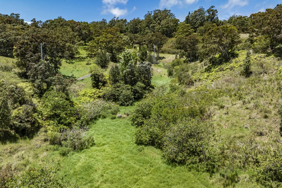 44-3791 Kukuipapa Rd, Honokaa, HI 96727