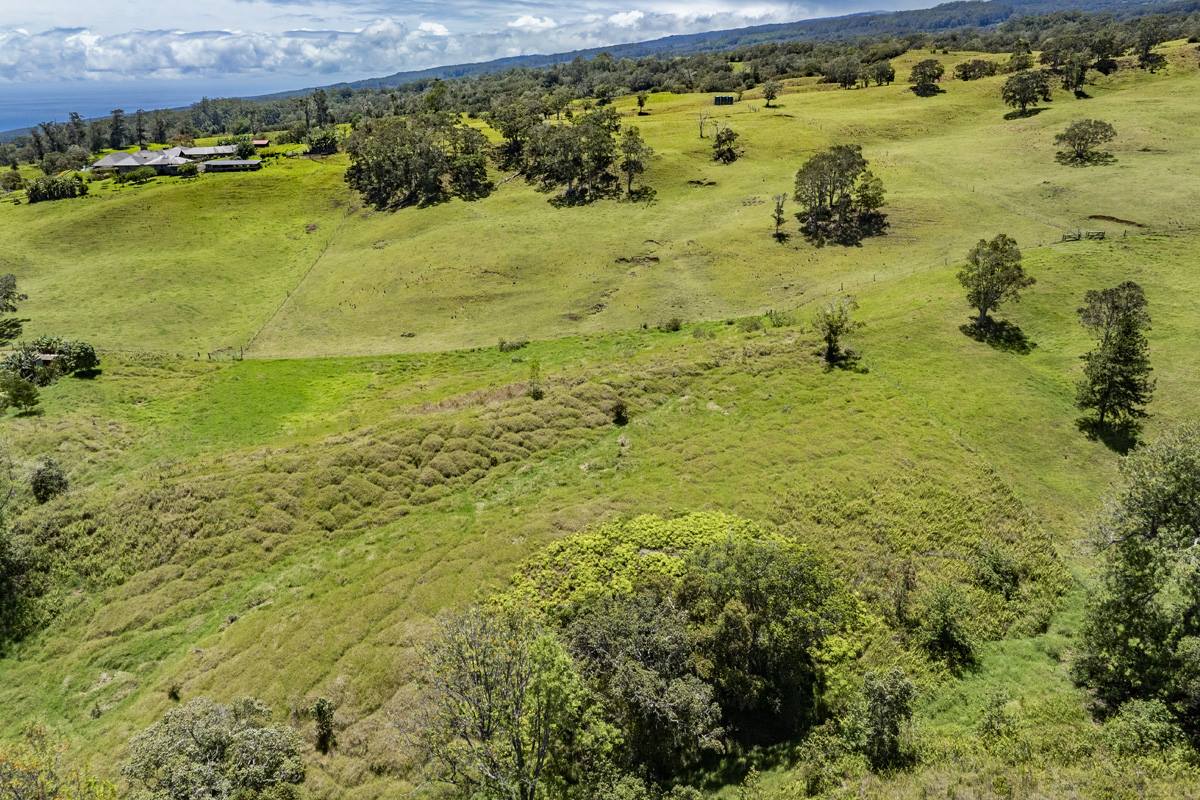 44-3791 Kukuipapa Rd, Honokaa, HI 96727