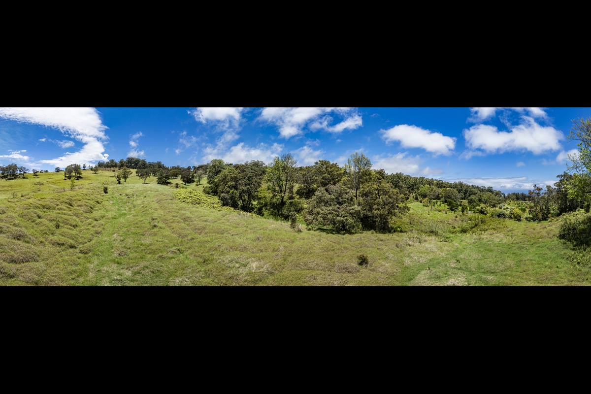 44-3791 Kukuipapa Rd, Honokaa, HI 96727