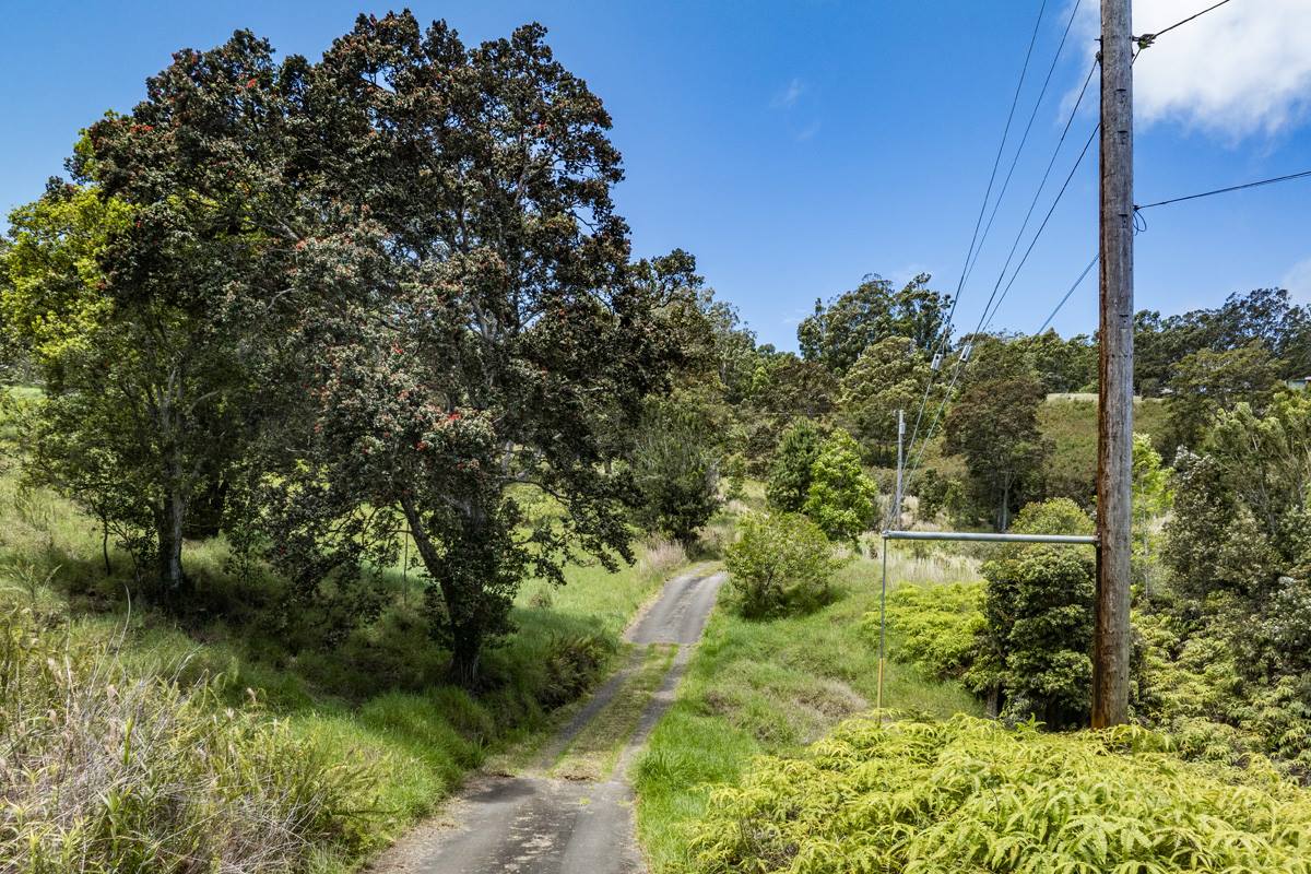 44-3791 Kukuipapa Rd, Honokaa, HI 96727