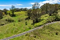 44-3791 Kukuipapa Rd, Honokaa, HI 96727
