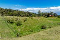 44-3791 Kukuipapa Rd, Honokaa, HI 96727