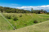 44-3791 Kukuipapa Rd, Honokaa, HI 96727