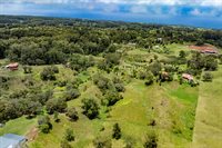 44-3791 Kukuipapa Rd, Honokaa, HI 96727