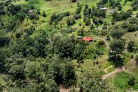 44-3791 Kukuipapa Rd, Honokaa, HI 96727