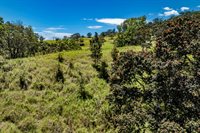 44-3791 Kukuipapa Rd, Honokaa, HI 96727