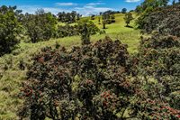 44-3791 Kukuipapa Rd, Honokaa, HI 96727