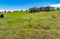 44-3791 Kukuipapa Rd, Honokaa, HI 96727