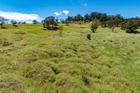 44-3791 Kukuipapa Rd, Honokaa, HI 96727