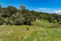 44-3791 Kukuipapa Rd, Honokaa, HI 96727