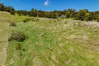 44-3791 Kukuipapa Rd, Honokaa, HI 96727