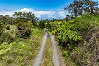 44-3791 Kukuipapa Rd, Honokaa, HI 96727