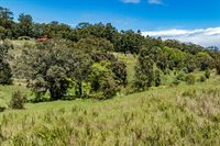 44-3791 Kukuipapa Rd, Honokaa, HI 96727