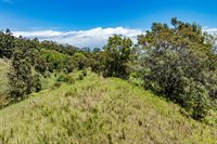 44-3791 Kukuipapa Rd, Honokaa, HI 96727