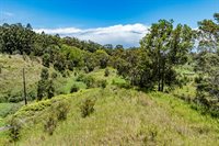 44-3791 Kukuipapa Rd, Honokaa, HI 96727