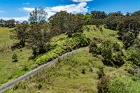 44-3791 Kukuipapa Rd, Honokaa, HI 96727