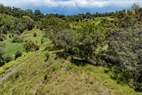 44-3791 Kukuipapa Rd, Honokaa, HI 96727