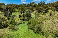 44-3791 Kukuipapa Rd, Honokaa, HI 96727