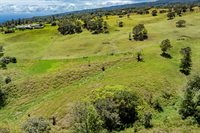44-3791 Kukuipapa Rd, Honokaa, HI 96727