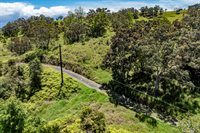44-3791 Kukuipapa Rd, Honokaa, HI 96727