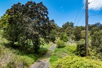 44-3791 Kukuipapa Rd, Honokaa, HI 96727