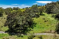 44-3791 Kukuipapa Rd, Honokaa, HI 96727