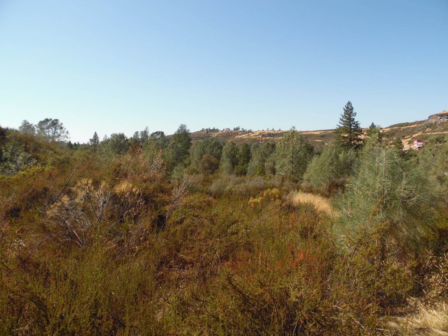 0 Lakeside Dr, Mountain Ranch, CA 95246