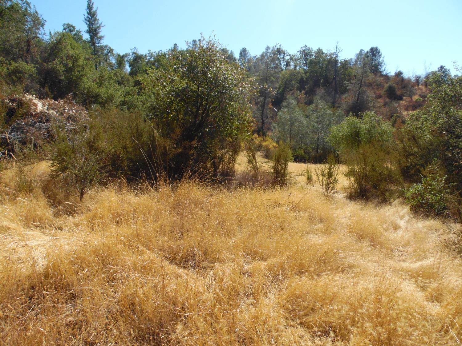 0 Lakeside Dr, Mountain Ranch, CA 95246