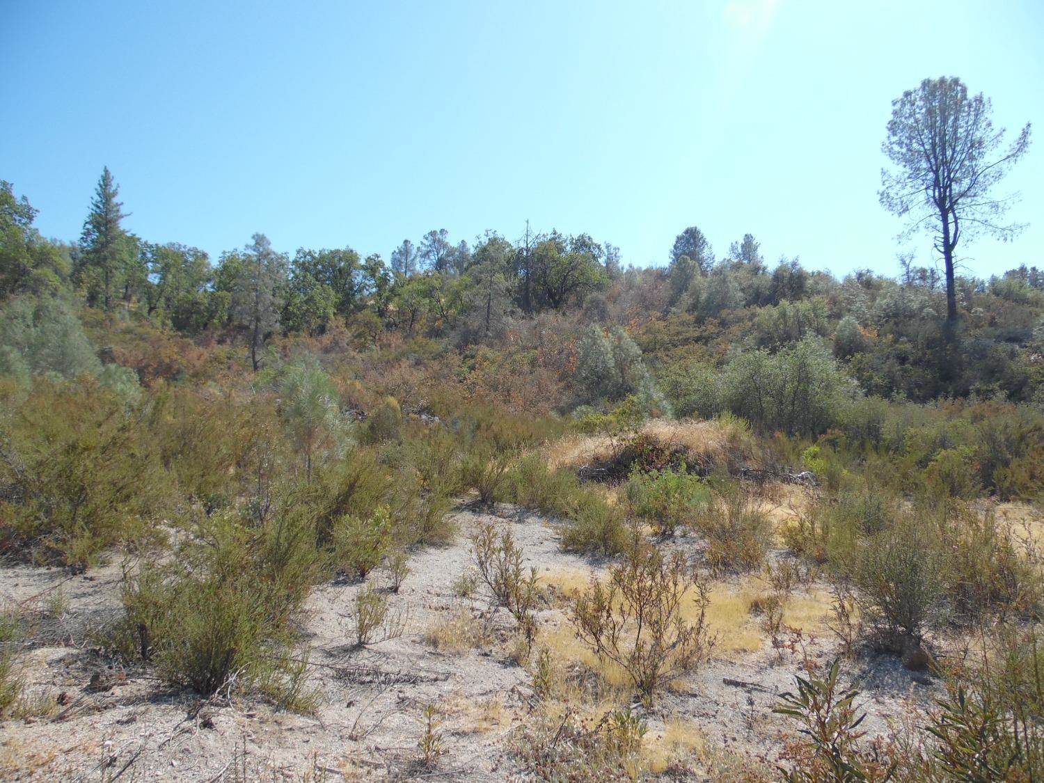 0 Lakeside Dr, Mountain Ranch, CA 95246