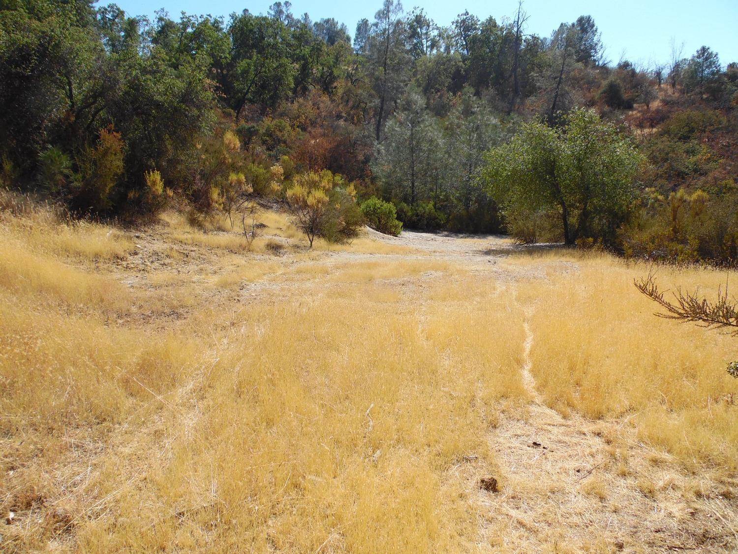0 Lakeside Dr, Mountain Ranch, CA 95246
