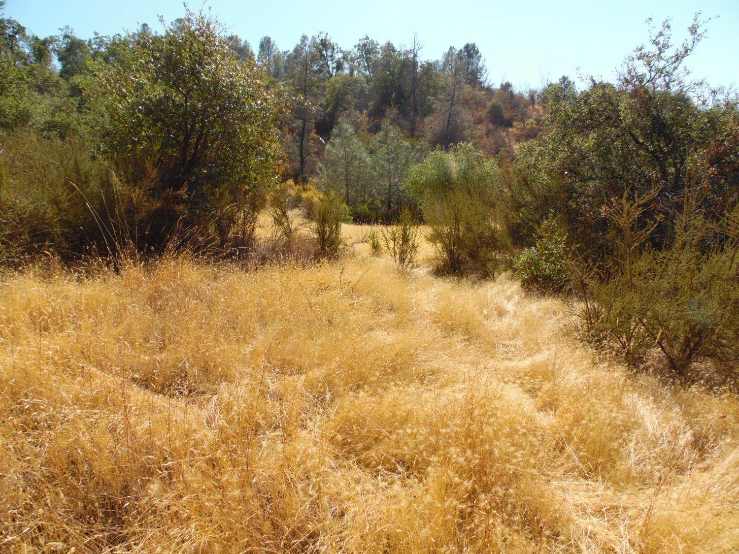 0 Lakeside Dr, Mountain Ranch, CA 95246
