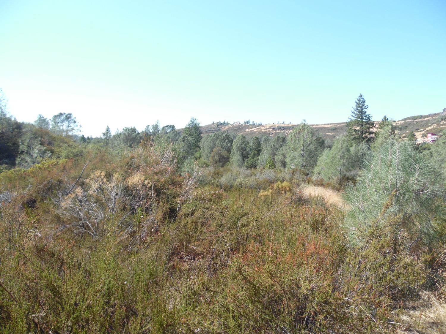 0 Lakeside Dr, Mountain Ranch, CA 95246
