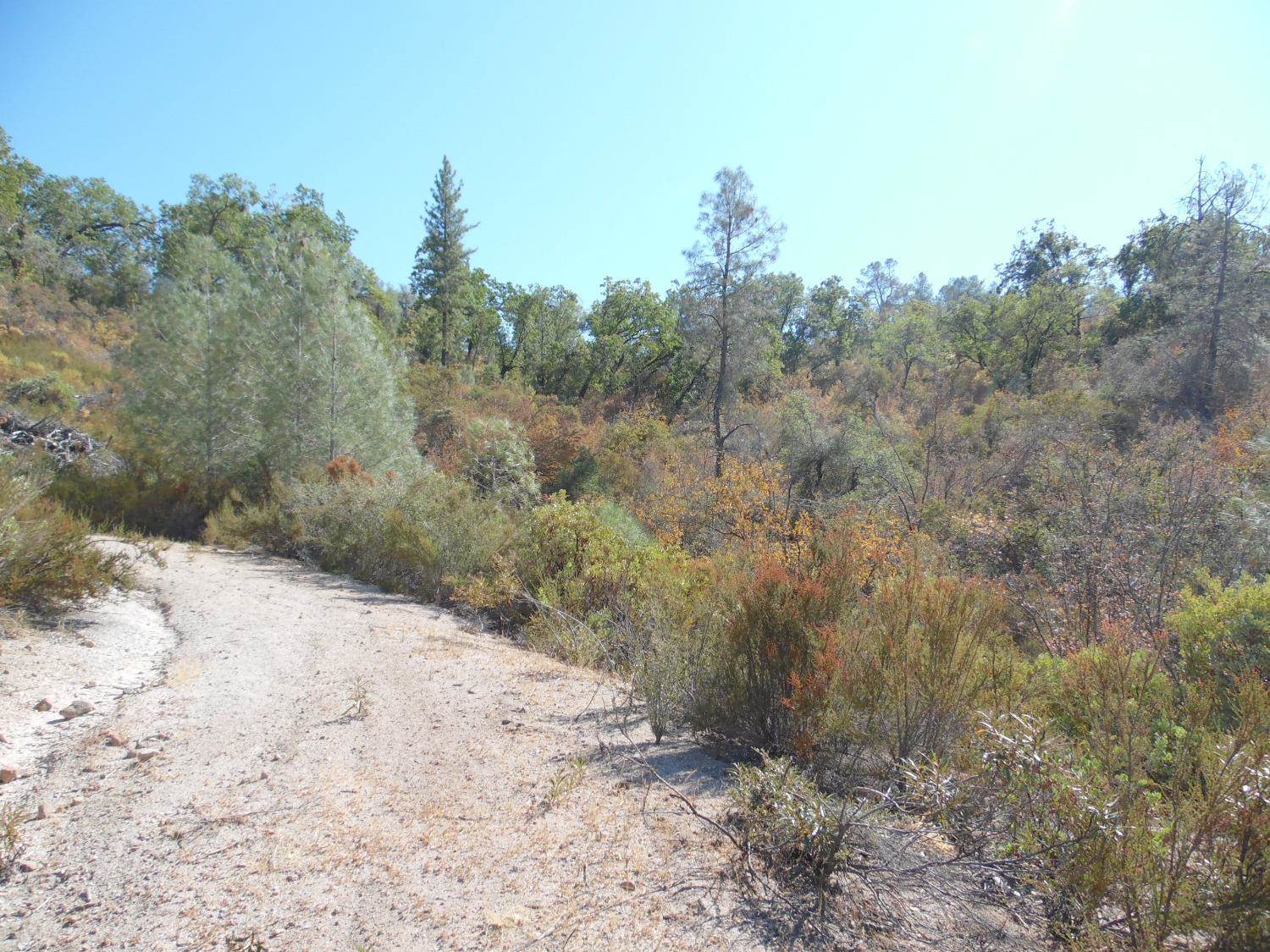 0 Lakeside Dr, Mountain Ranch, CA 95246