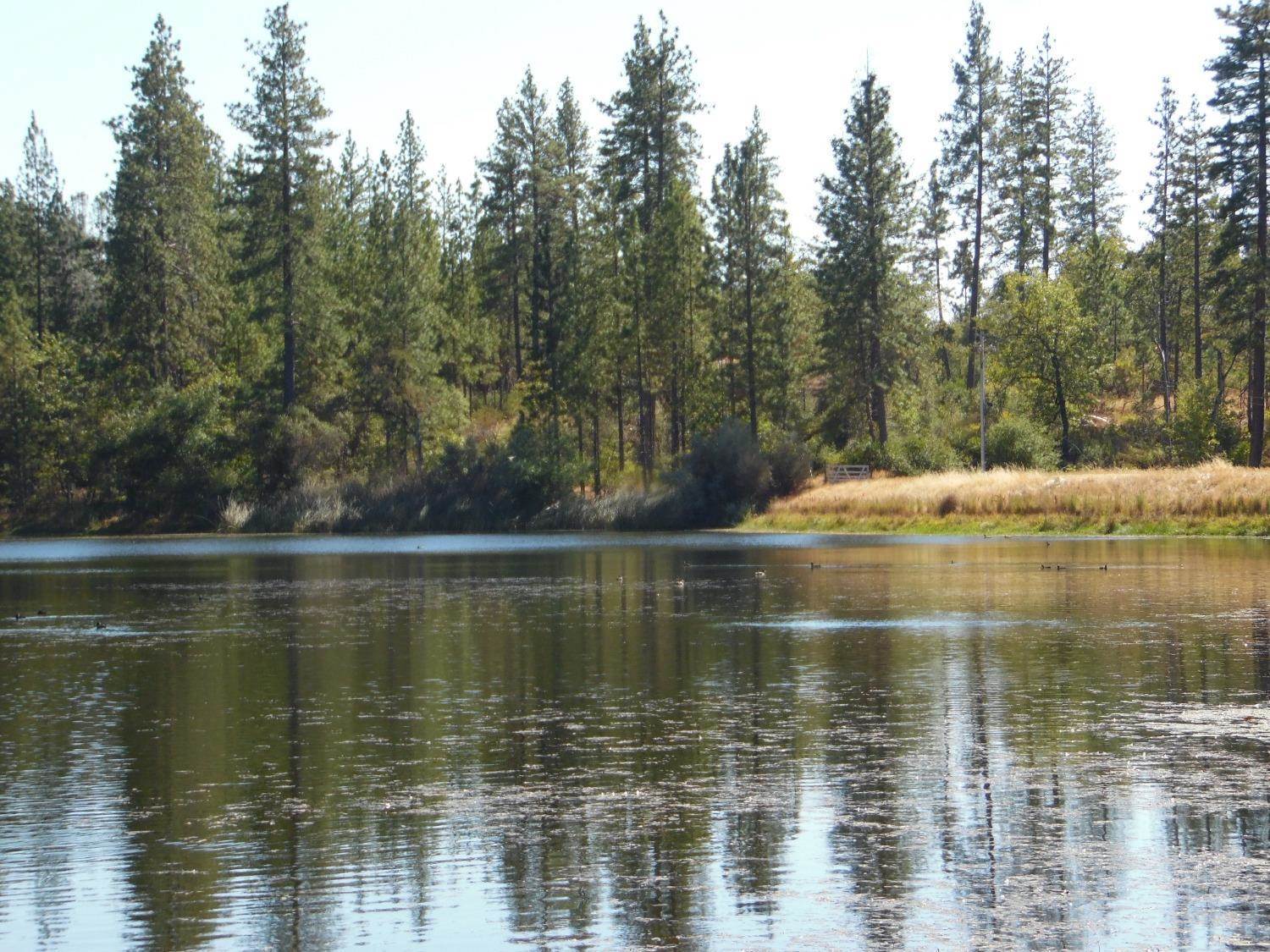 0 Lakeside Dr, Mountain Ranch, CA 95246