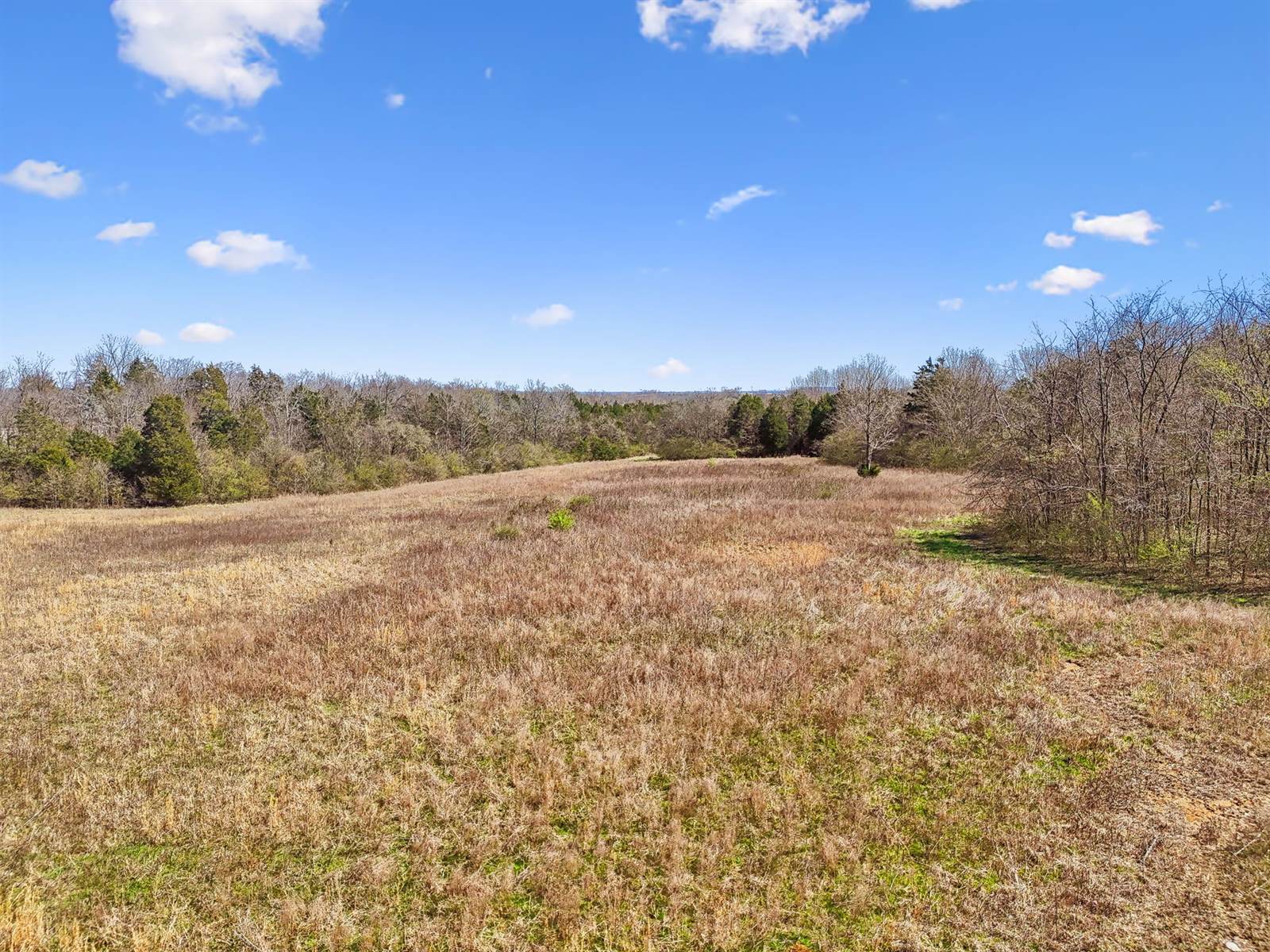 1233 W Ellington Pkwy, Lewisburg, TN 37091