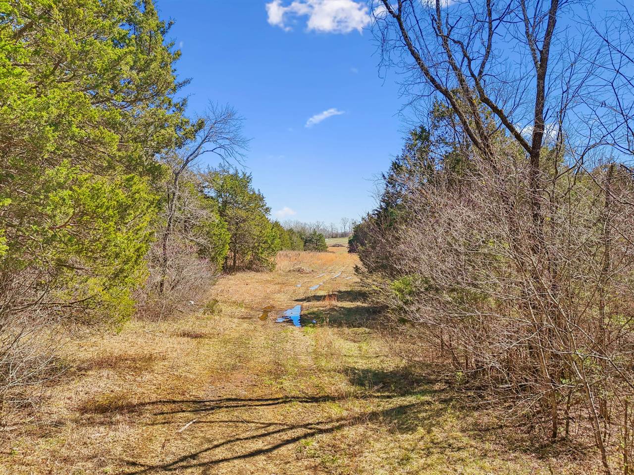 1233 W Ellington Pkwy, Lewisburg, TN 37091