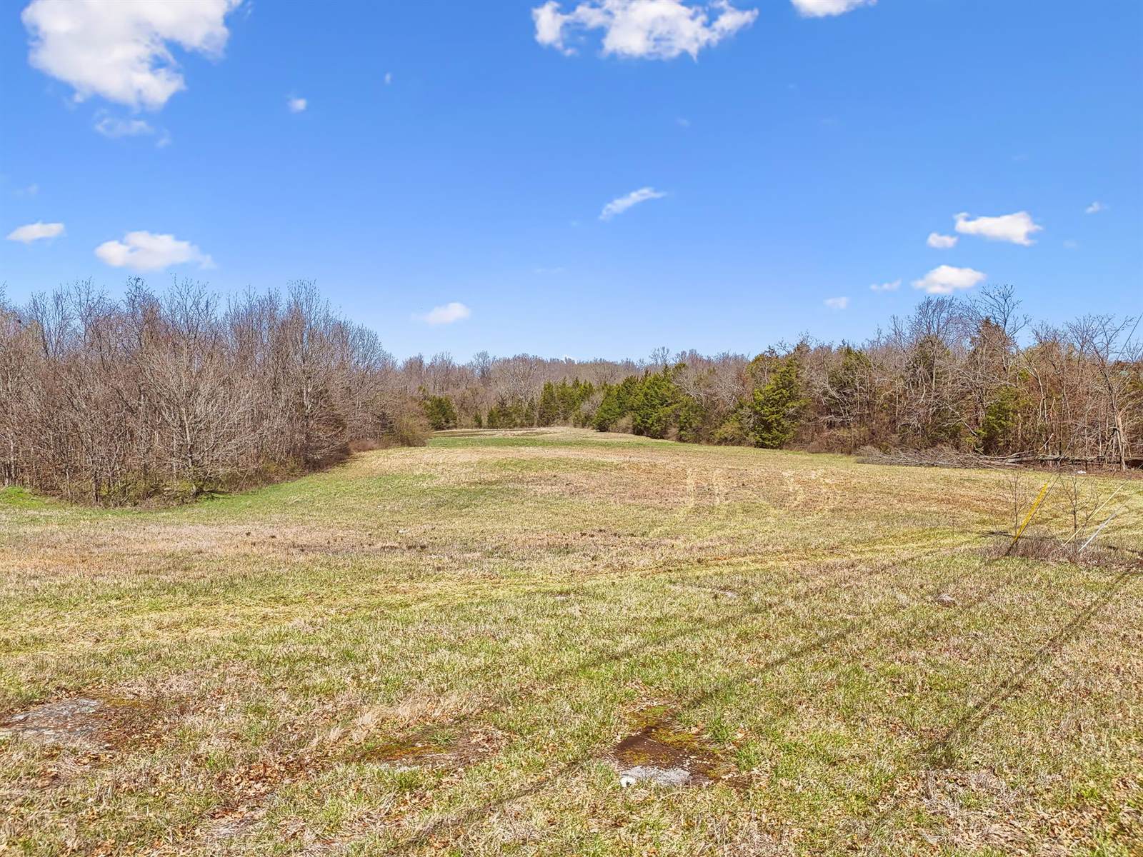 1233 W Ellington Pkwy, Lewisburg, TN 37091