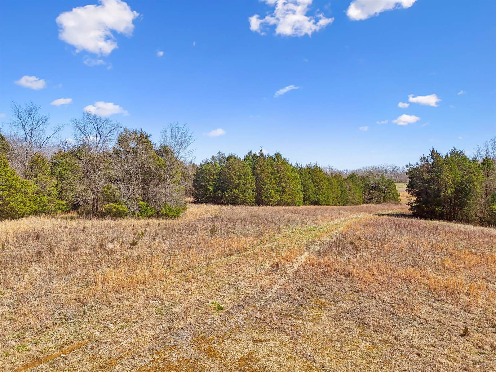 1233 W Ellington Pkwy, Lewisburg, TN 37091