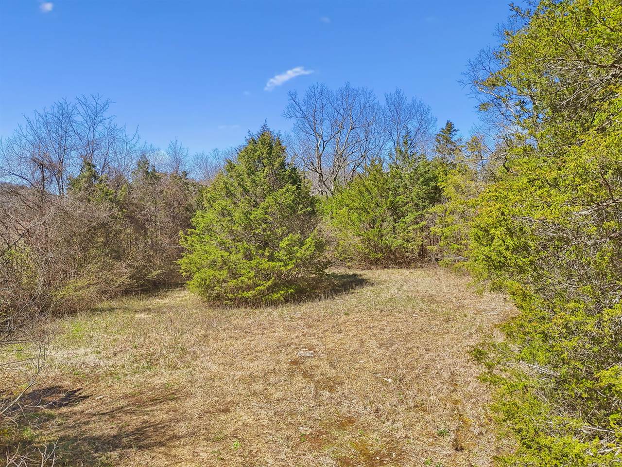 1233 W Ellington Pkwy, Lewisburg, TN 37091