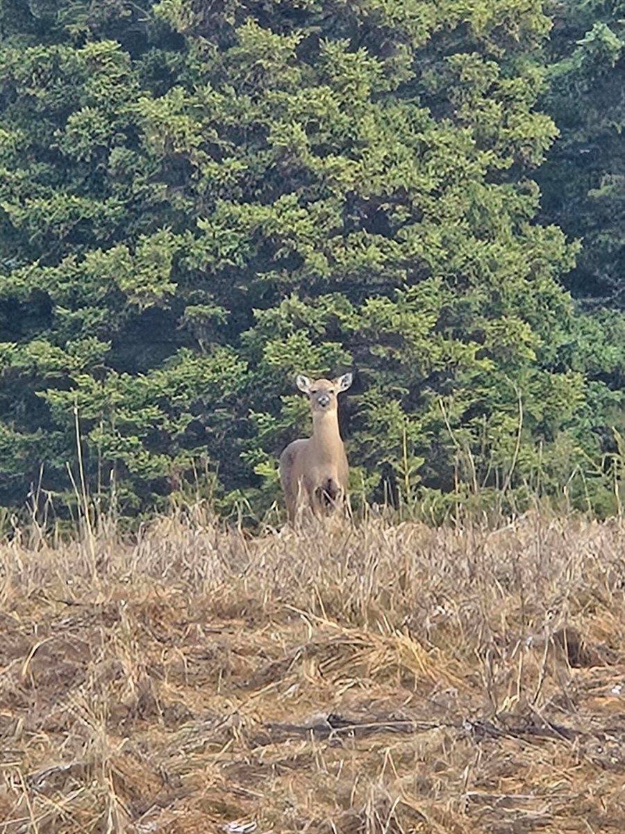 1508 Oxbow Road, Oxbow, ME 04764