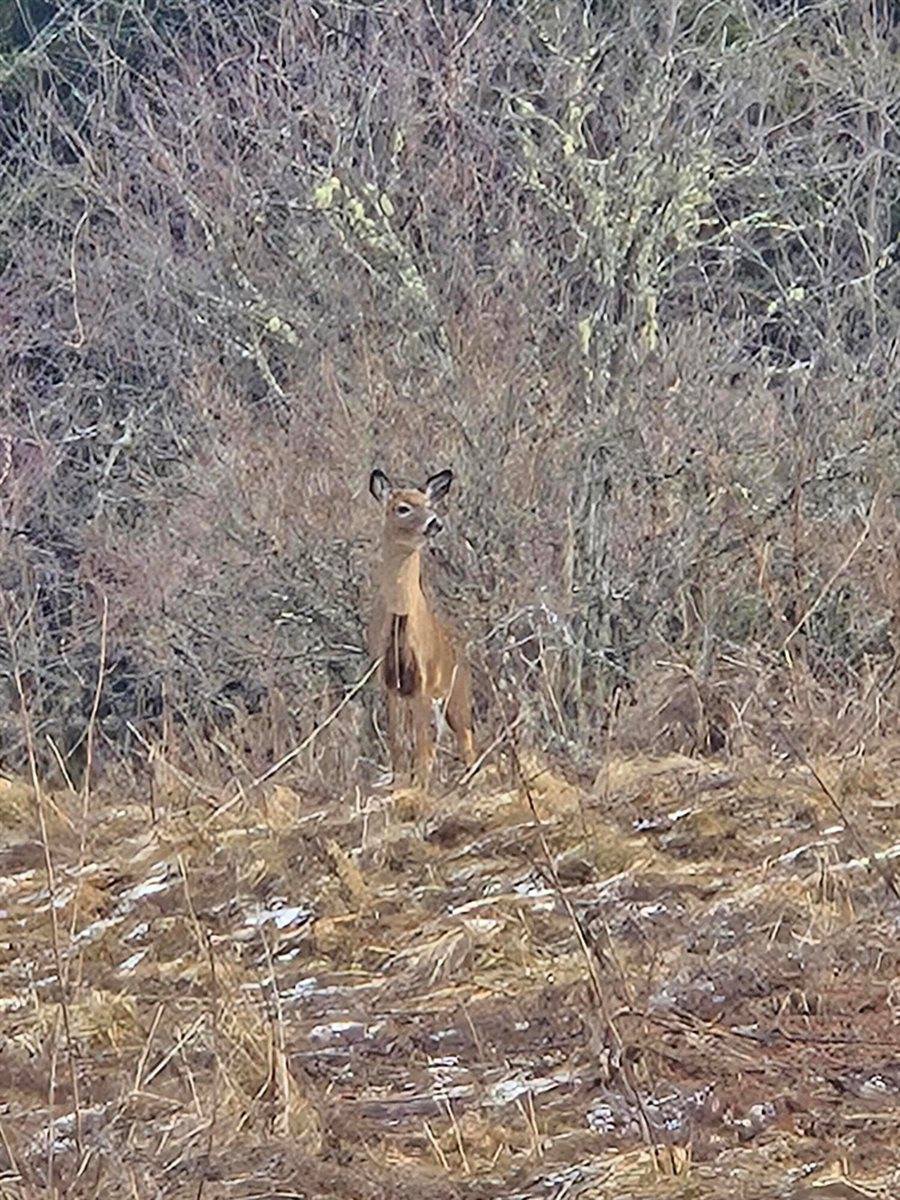 1508 Oxbow Road, Oxbow, ME 04764