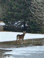 1508 Oxbow Road, Oxbow, ME 04764