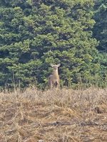 1508 Oxbow Road, Oxbow, ME 04764