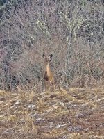 1508 Oxbow Road, Oxbow, ME 04764