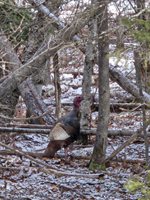 1508 Oxbow Road, Oxbow, ME 04764