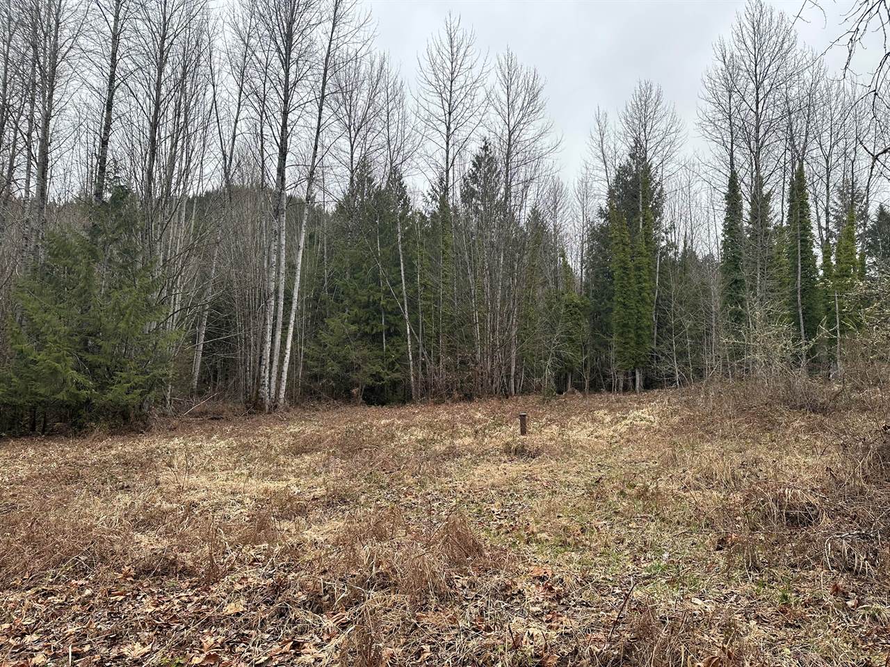 0 Sled Run Road, Concrete, WA 98237