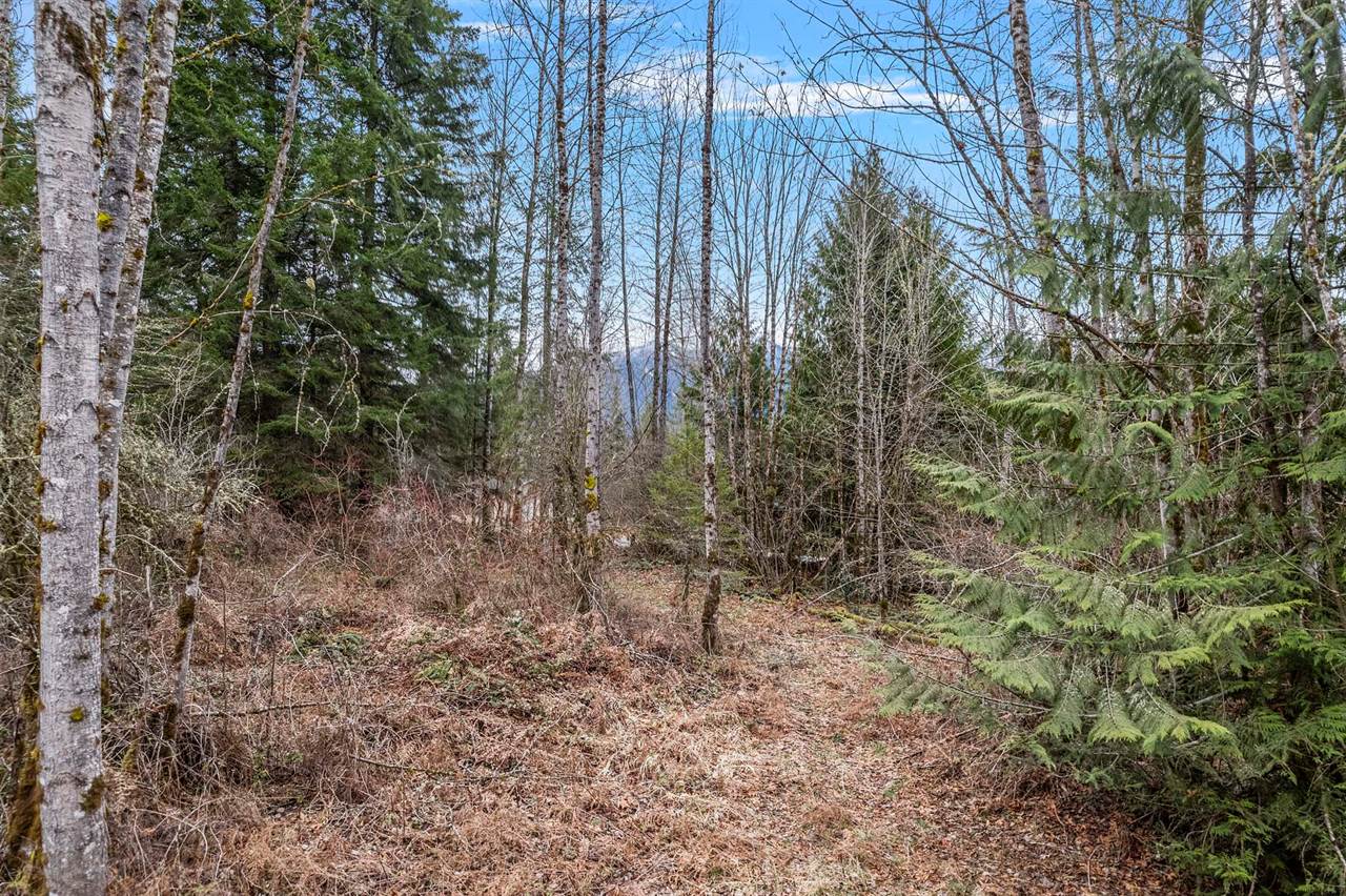 0 Sled Run Road, Concrete, WA 98237