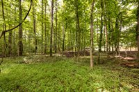 207 Crossing Avenue, Belmont, NC 28012