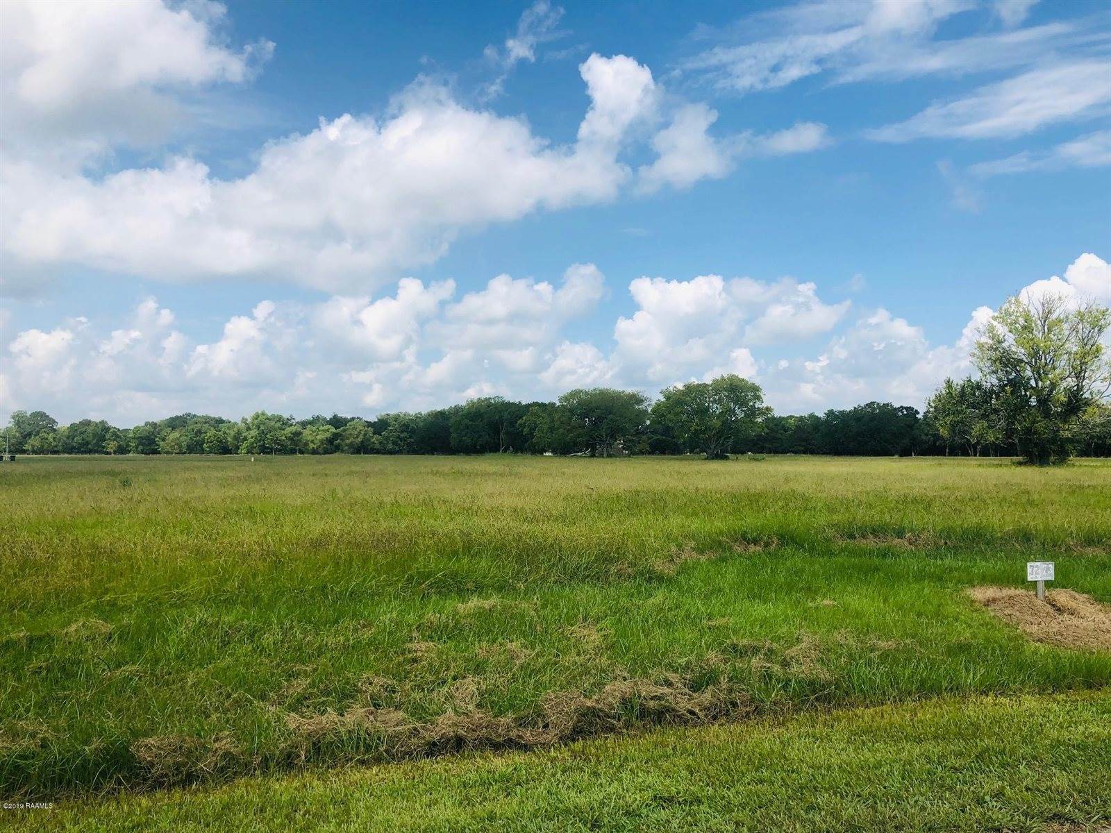 Lot 1 Rodeo Drive, Opelousas, LA 70570